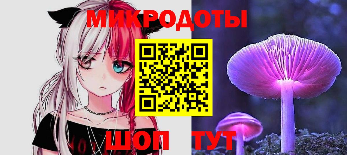 Галлюциногенные грибы Psilocybine cubensis Фурманов