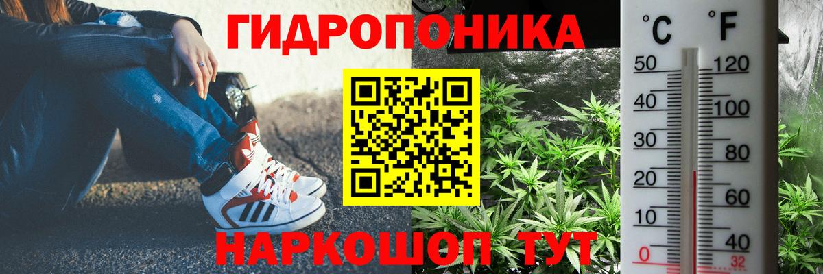 Канабис семена Фурманов